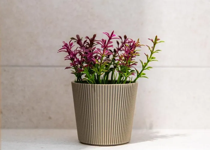 Unique Aura Luxury 3* Néos Marmarás